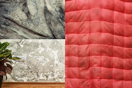 Mold Damage Restoration Services